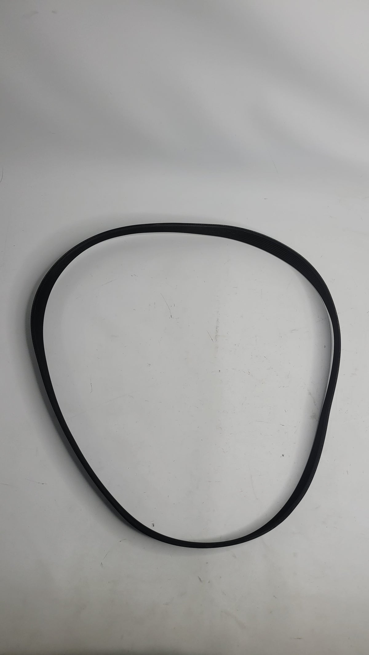 BMW M3 Alternator Drive Belt 692637 - MPerformance.parts